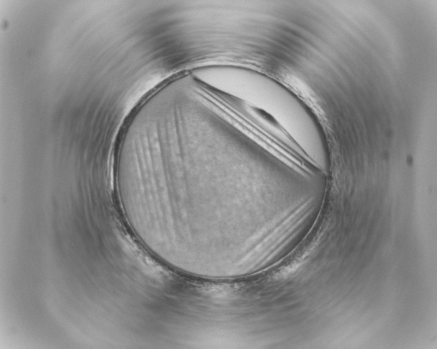 X0000088610892200706221428