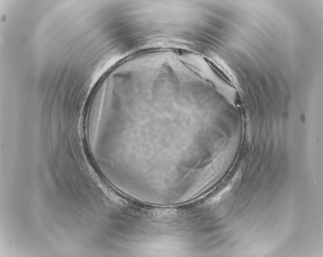 X0000088610893200706221428