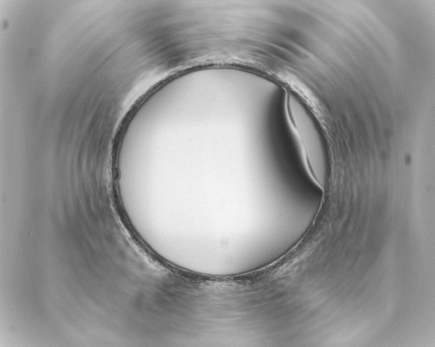 X0000088610894200706221428