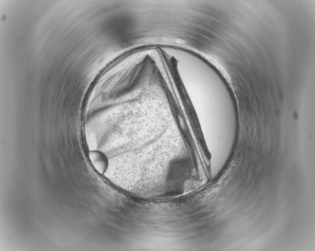 X0000088610895200706221428