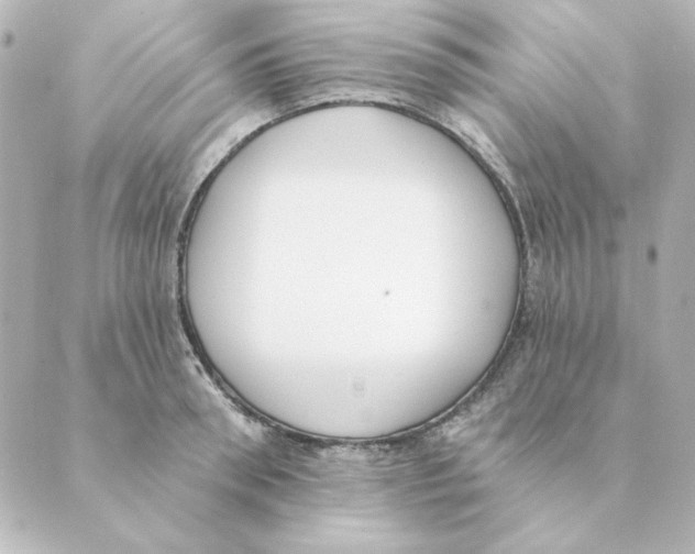 X0000088610898200706221428