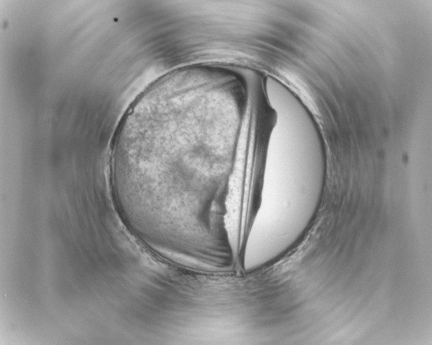 X0000088610899200706221428