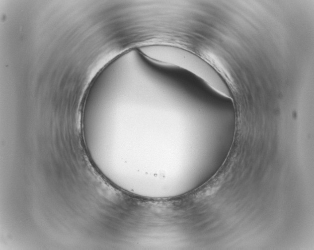 X0000088610900200706221428