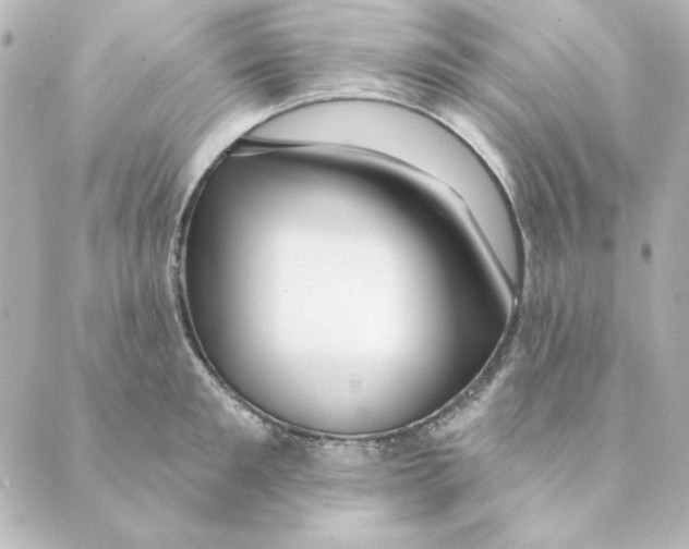 X0000088610901200706221427