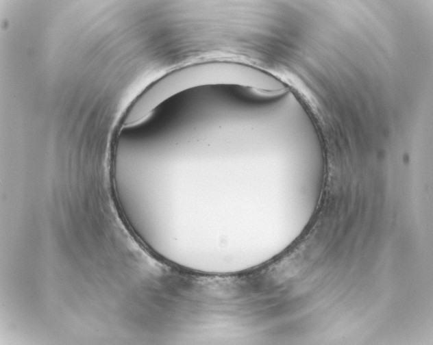 X0000088610902200706221427