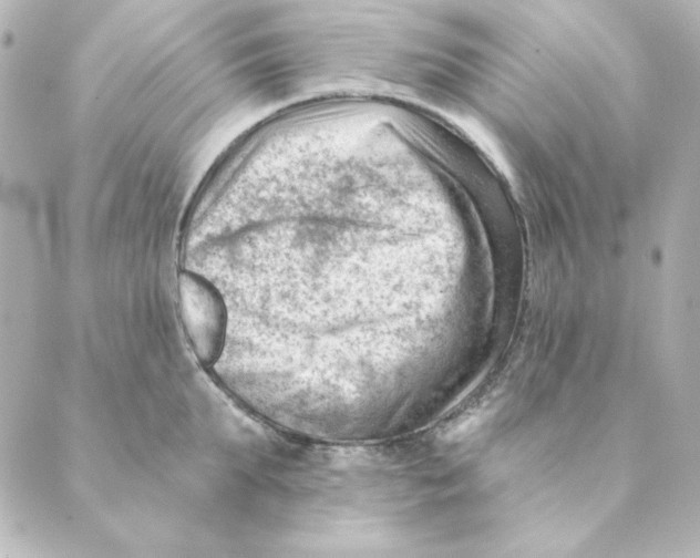 X0000088610903200706221427