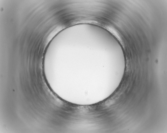 X0000088610906200706221427