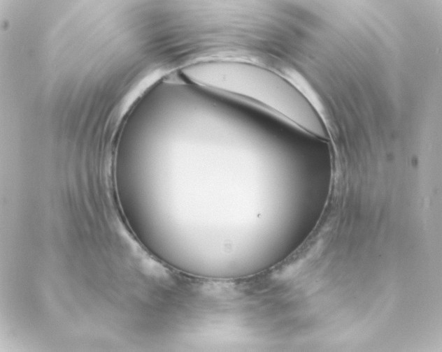 X0000088610909200706221427