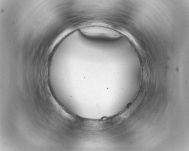 X0000088610910200706221427