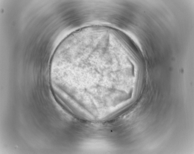 X0000088610911200706221427