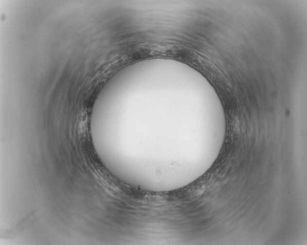 X0000088610914200706221427