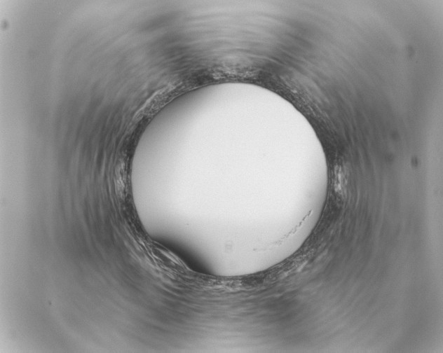 X0000088610915200706221427