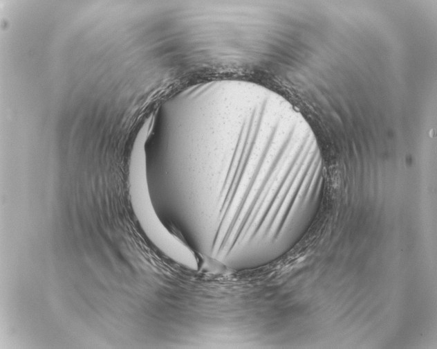 X0000088610916200706221427