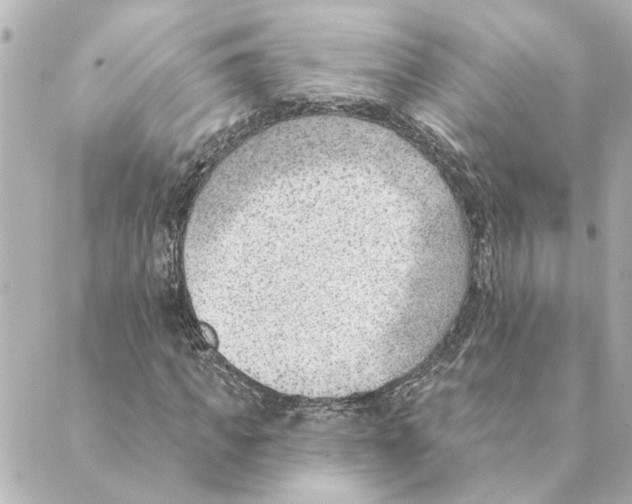 X0000088610917200706221427