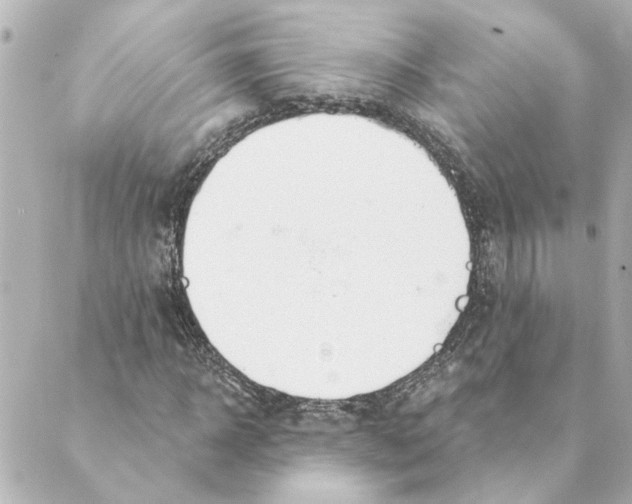 X0000088610918200706221427