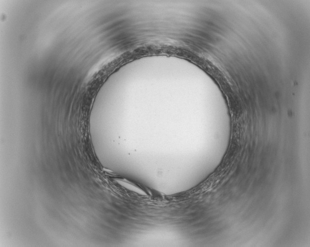 X0000088610919200706221427