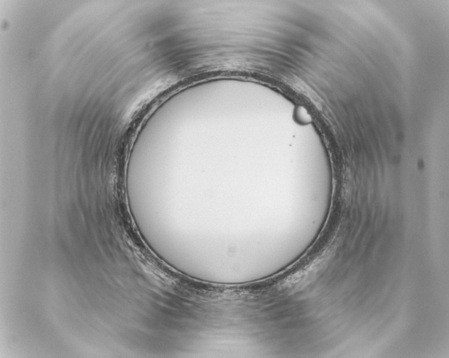 X0000088610922200706221427