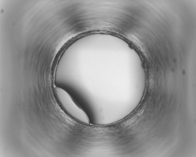 X0000088610924200706221427