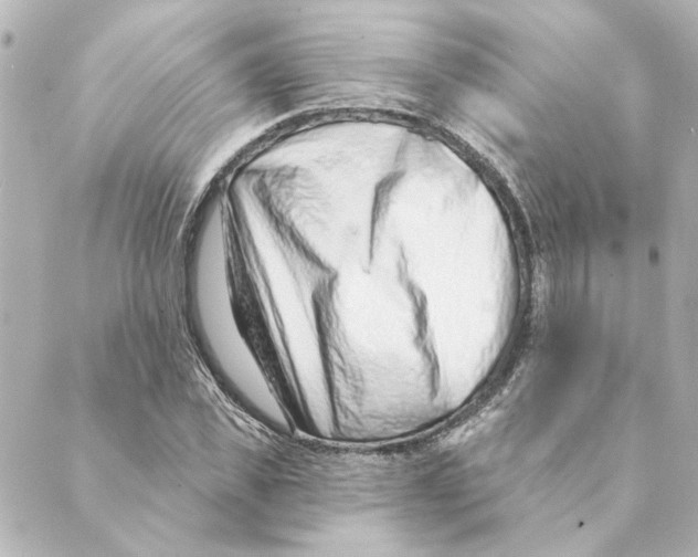 X0000088610925200706221427