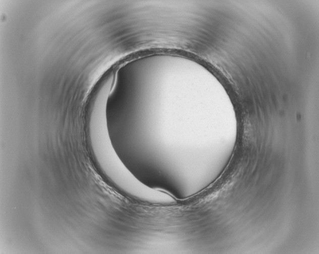 X0000088610926200706221427