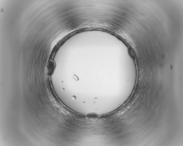 X0000088610928200706221427