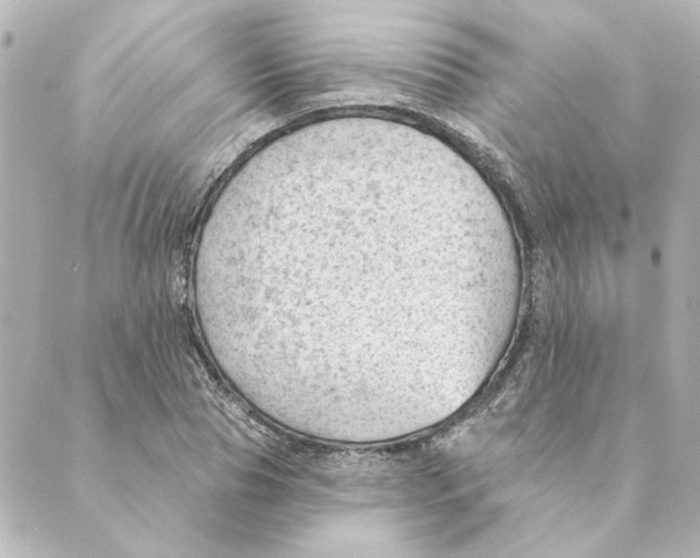 X0000088610929200706221427