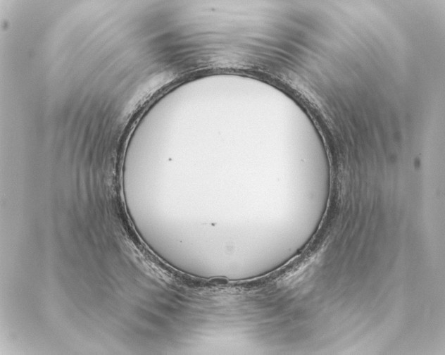 X0000088610930200706221427