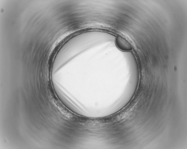 X0000088610931200706221427