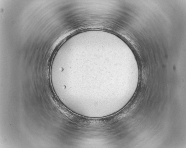 X0000088610933200706221427