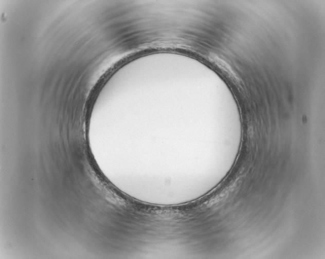 X0000088610934200706221427