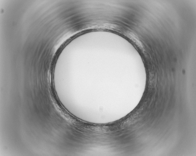 X0000088610936200706221427