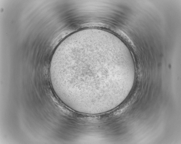 X0000088610937200706221427