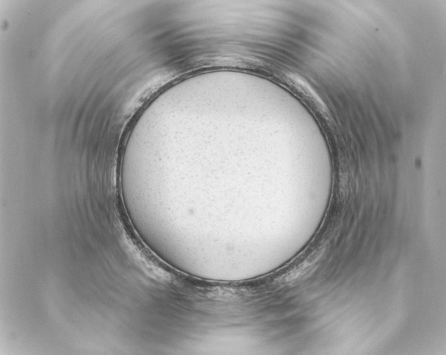 X0000088610938200706221427