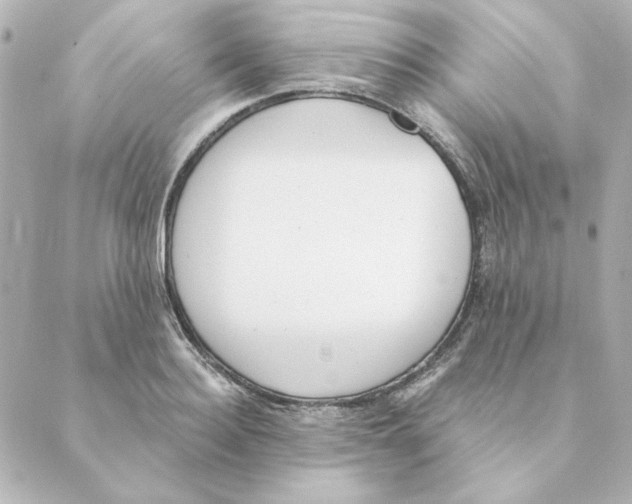 X0000088610940200706221427