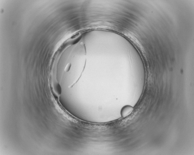 X0000088610941200706221427