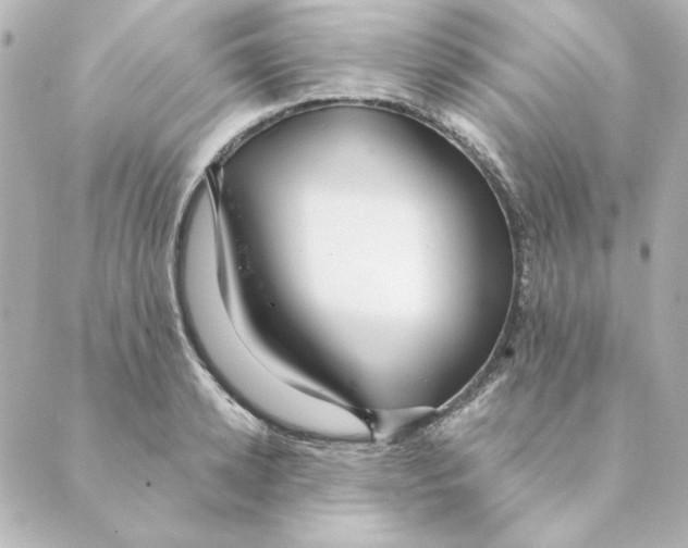 X0000088610942200706221427