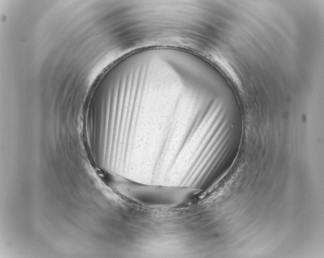 X0000088610944200706221427