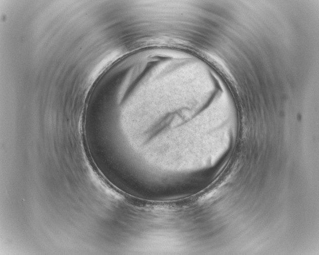 X0000088610946200706221427