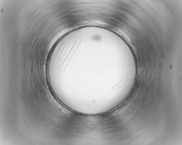 X0000088610947200706221427