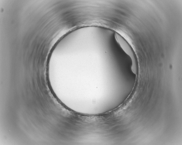 X0000088610949200706221427