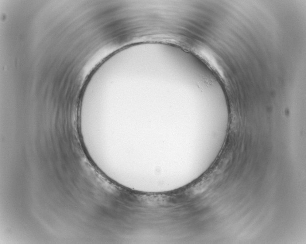 X0000088610952200706221427