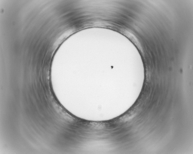 X0000088610954200706221427