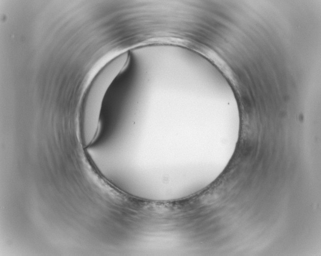 X0000088610955200706221427