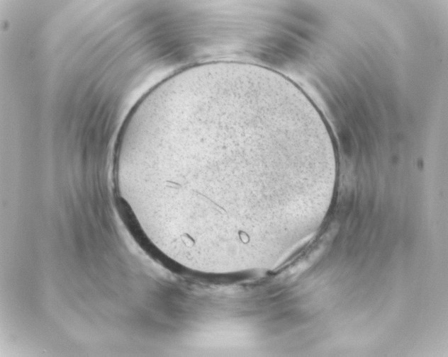 X0000088610957200706221427