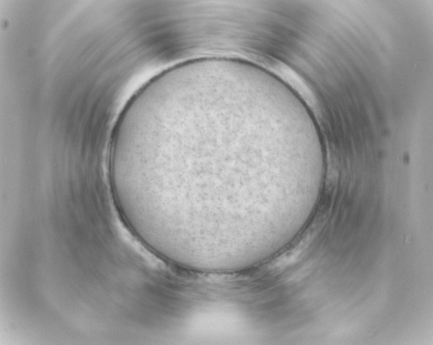 X0000088610958200706221427