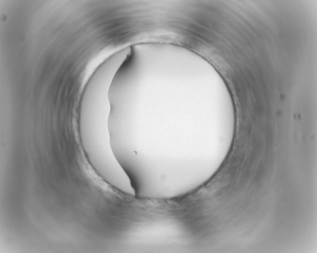 X0000088610960200706221427