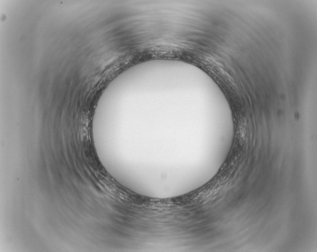 X0000088610964200706221426