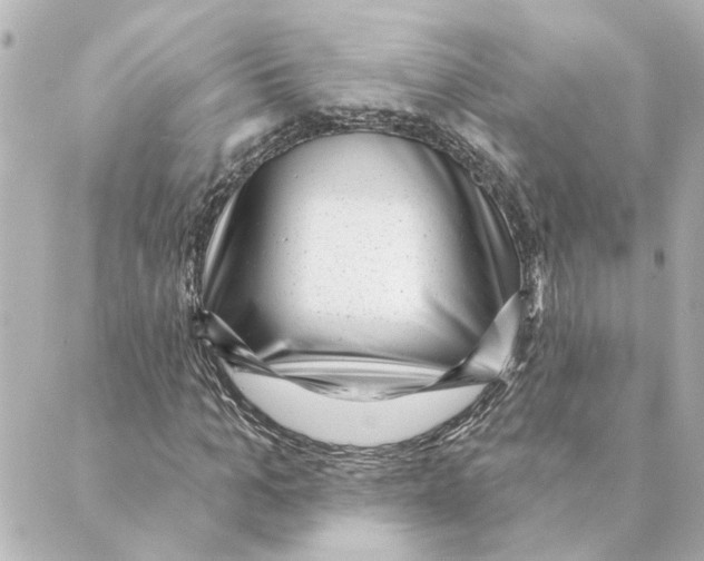 X0000088610965200706221426