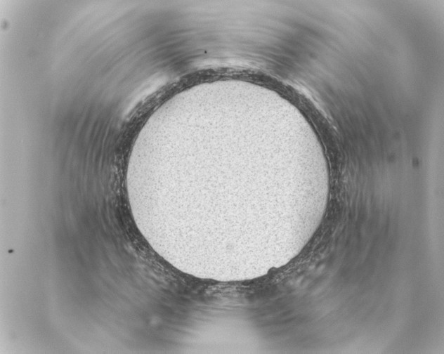 X0000088610967200706221426