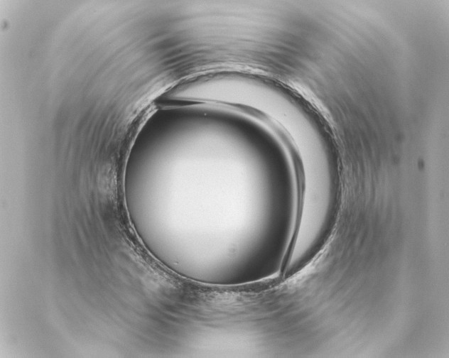 X0000088610969200706221426